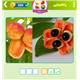 نمونه تصاویر بازی اسم این میوه چیه؟